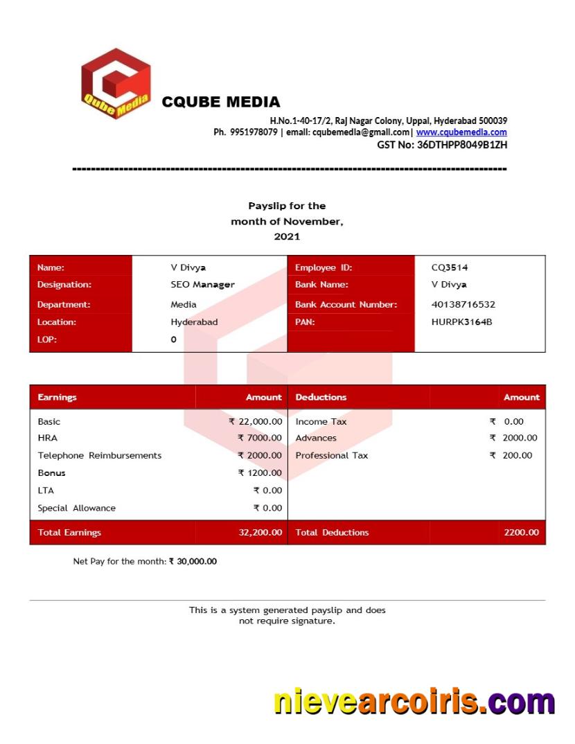 Professional Cqube Media Payslip Template In Word And PDF Formats.pdf, 1