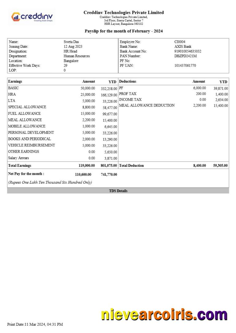 Editable Creddinv Technologies Payslip Template In Word And PDF Formats.pdf, 1