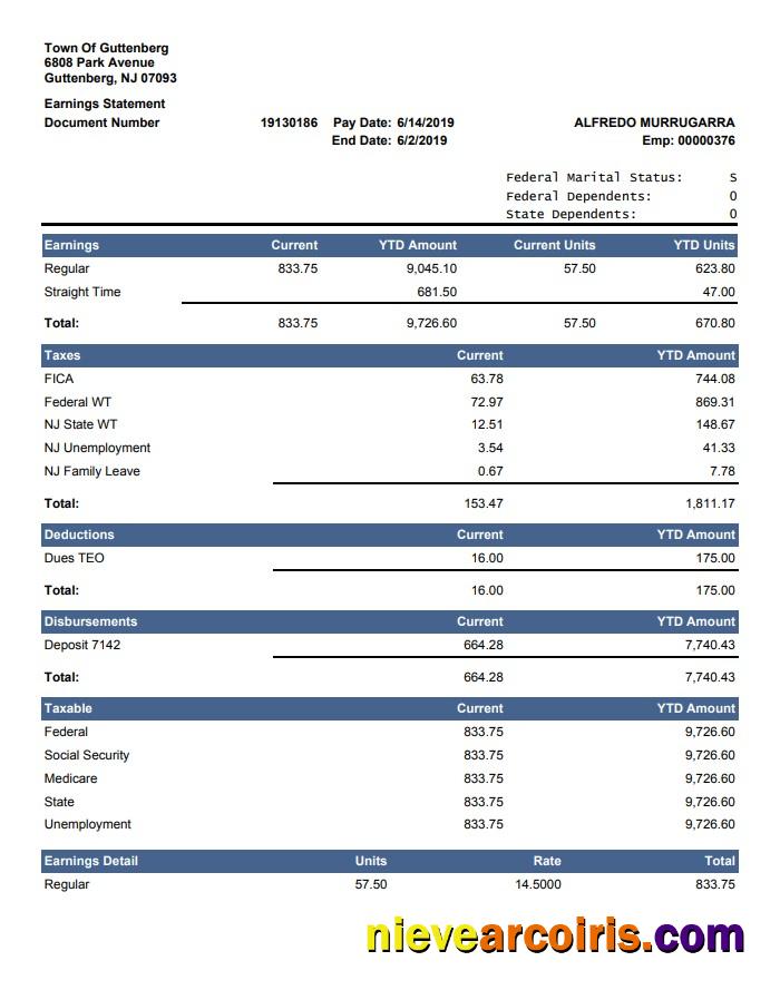 Current YTD Amount Earnings Statement Sample