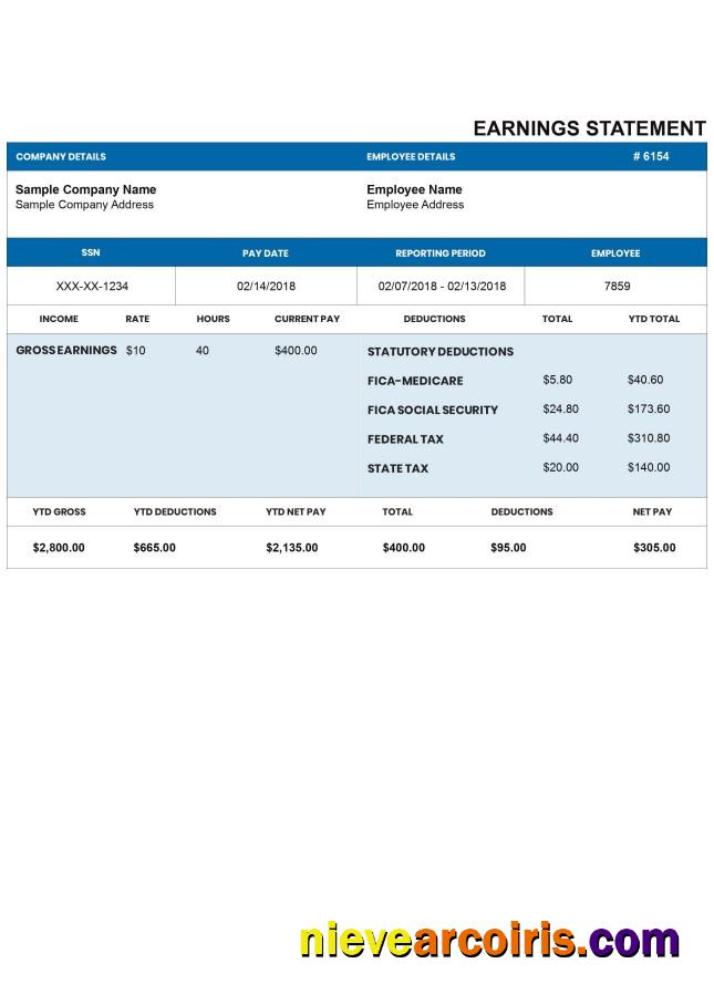 Editable DARKBLUE Pay Stub Word And PDF Template