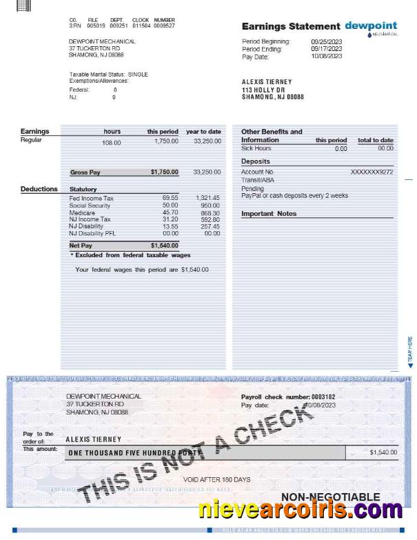 Premium DEWPOINT MECHANICAL Earnings Statement Template In Word And PDF Formats.pdf, 1
