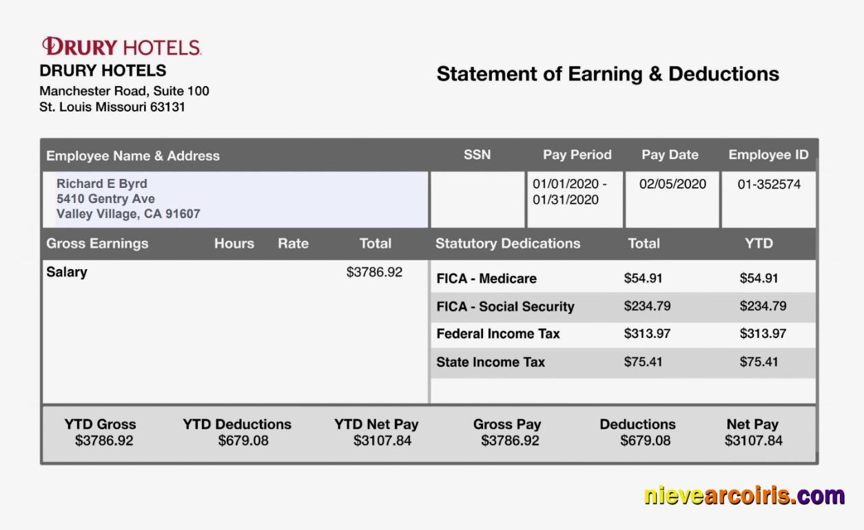 DRURY HOTELS EARNING STATMENT In PDF And Word Formats Template