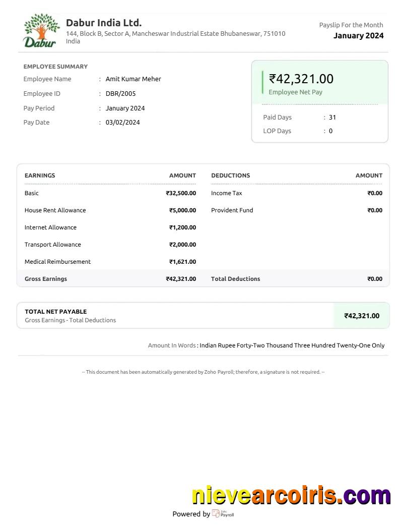 Realistic Dabur India Goods Company Payslip Template In Word And PDF Formats.pdf, 1