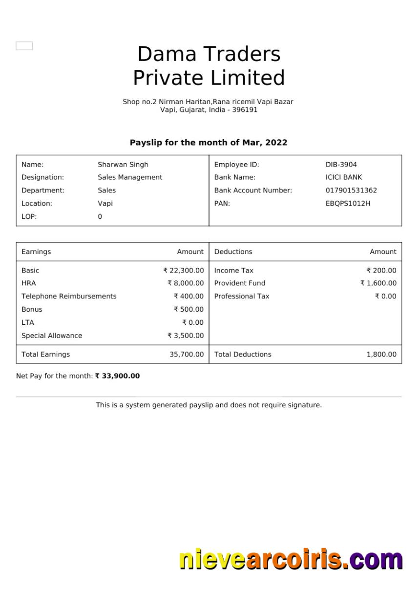 Professional Dama Traders Payslip Template In Word And PDF Formats.pdf, 1