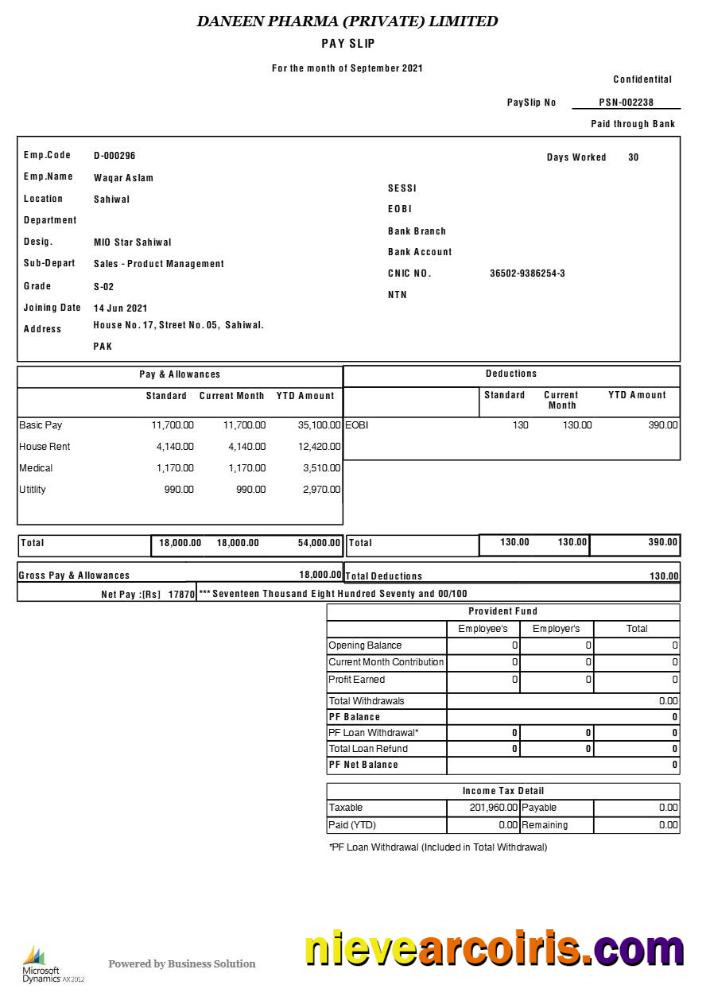 Professional Daneen Pharma Payslip Template In Word And PDF Formats.pdf, 1