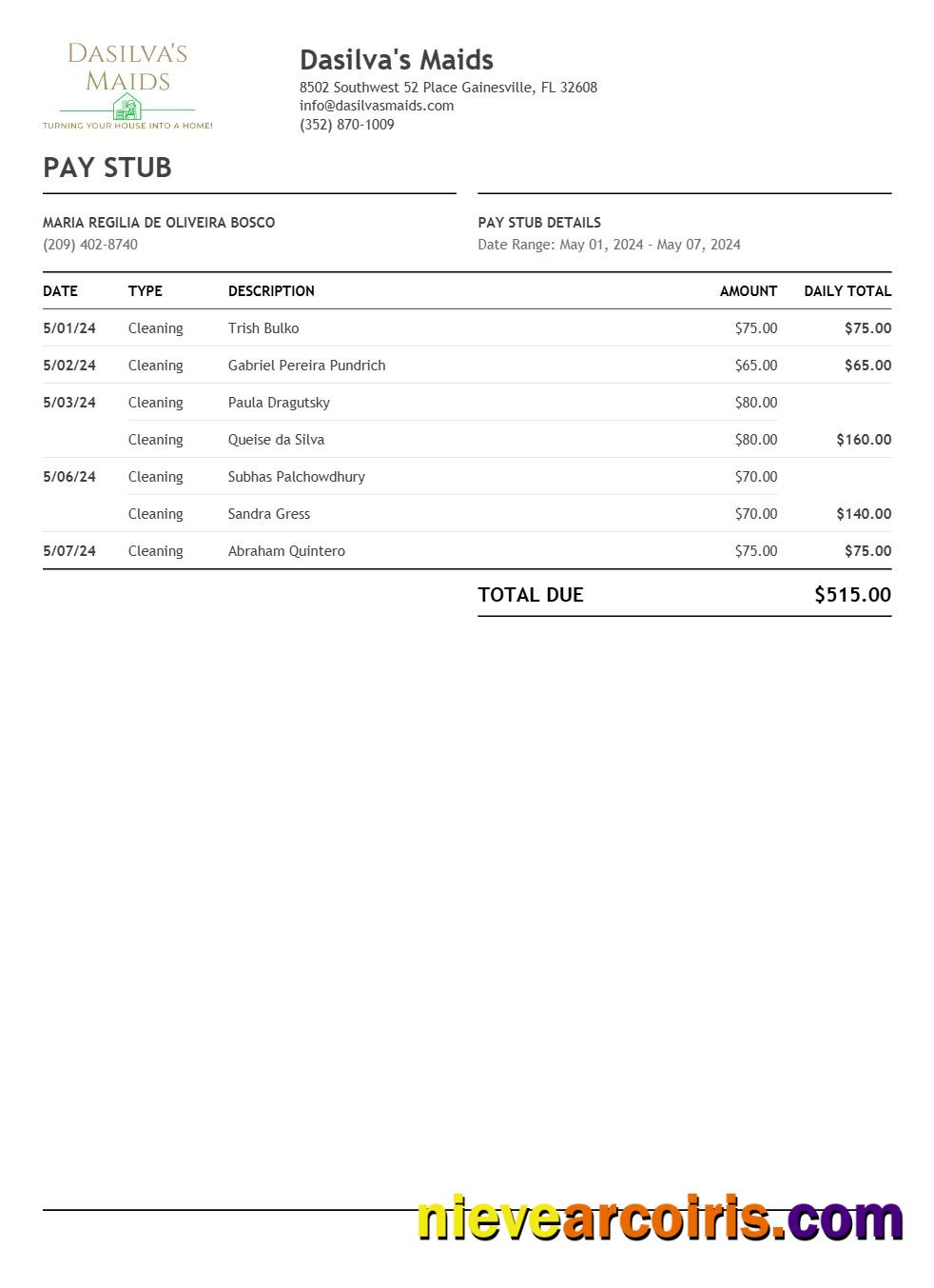 Premium Dasilva's Maids Pay Stub Template In Word And PDF Formats.pdf, 1