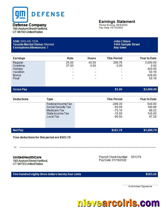 Defence Company Earning Statement In Word And PDF Formats Template