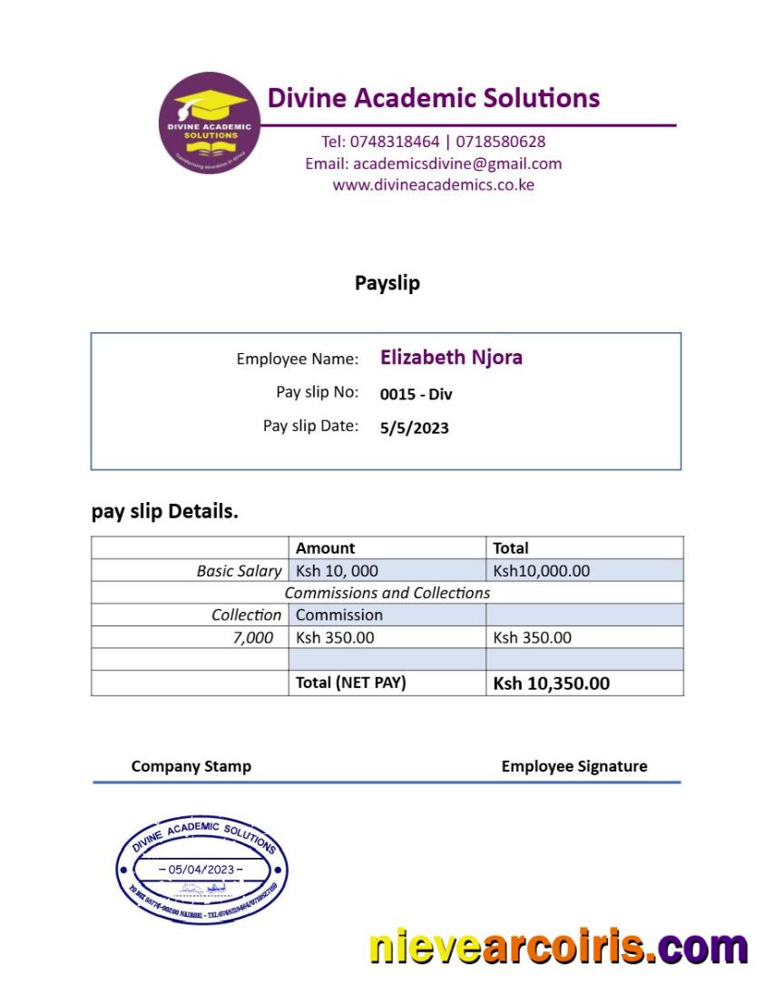 Premium Divine Academic Solutions Payslip Template In Word And PDF Formats.pdf, 1