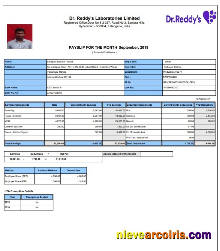 Dr. Reddy's Laboratories Limited Pay Stub In PDF And Word Format Sample
