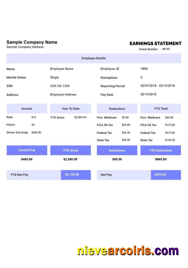 Professional EARNINGS Statement Template Word And PDF Format, Version 2