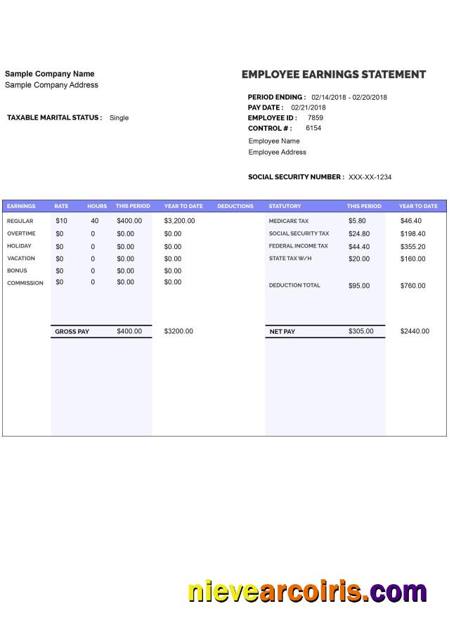 Editable EMPLOYEE Earnings Statement Template Word And PDF Format Version 8