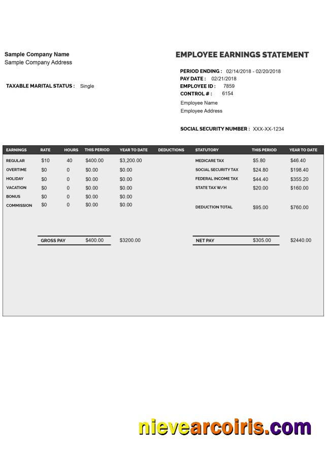 Professional EMPLOYEE Earnings Statement Template Word And PDF Format