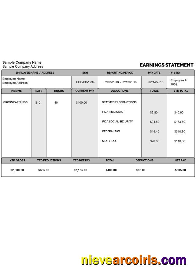 Premium EMPLOYEE Gross Earnings Statement Template In Word And PDF Format