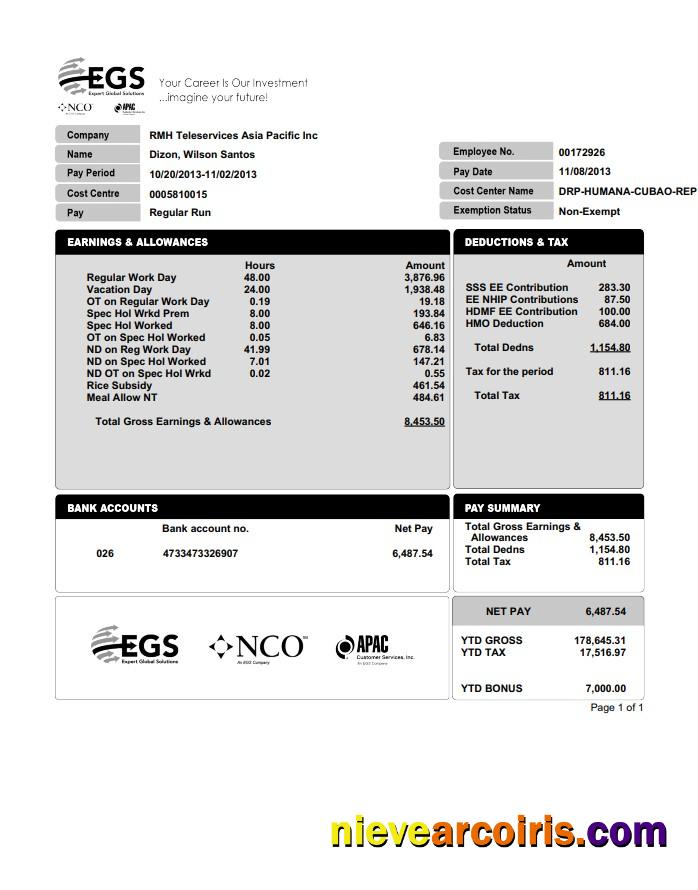 EXPERT GLOBAL SOLUTIONS COMPANY Pay Stub In PDF And Word Format Sample