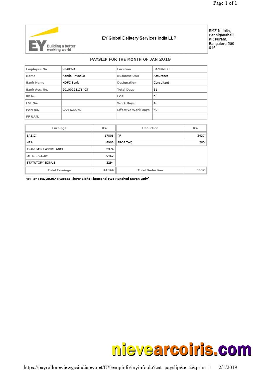 Realistic EY Global Delivery Services Payslip Template In Word And PDF Formats.pdf, 1