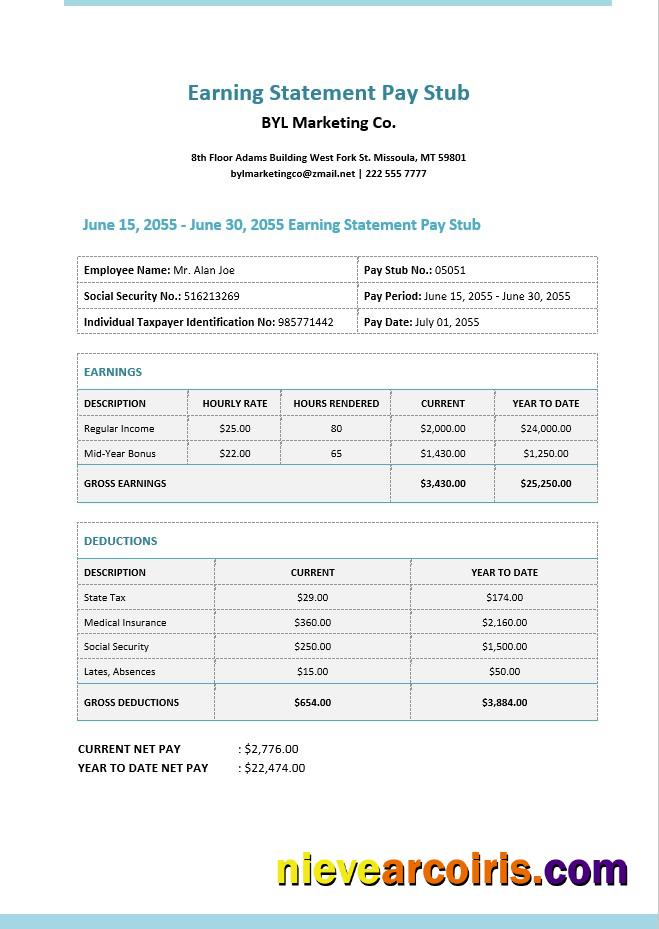 Professional Earning Statement Pay Stub Template