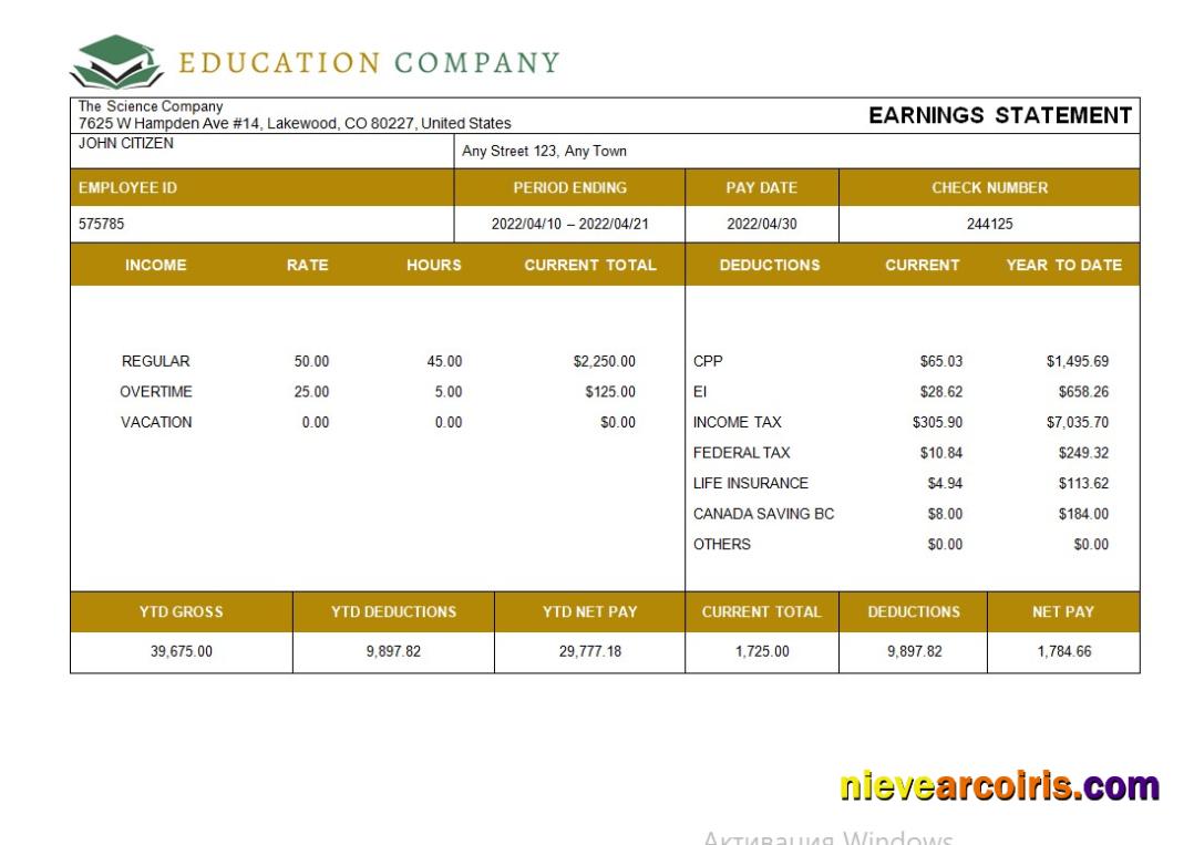 Realistic Education Company Fully Editable Payslip Template In Word And Excel Formats