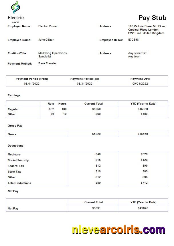 Realistic Electric Power Pay Stub Template In Word And PDF Formats