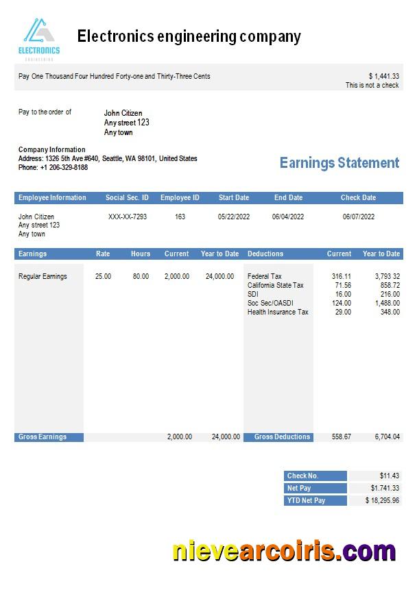 Electronics Engineering Company Earning Statement In Word And PDF Formats Template