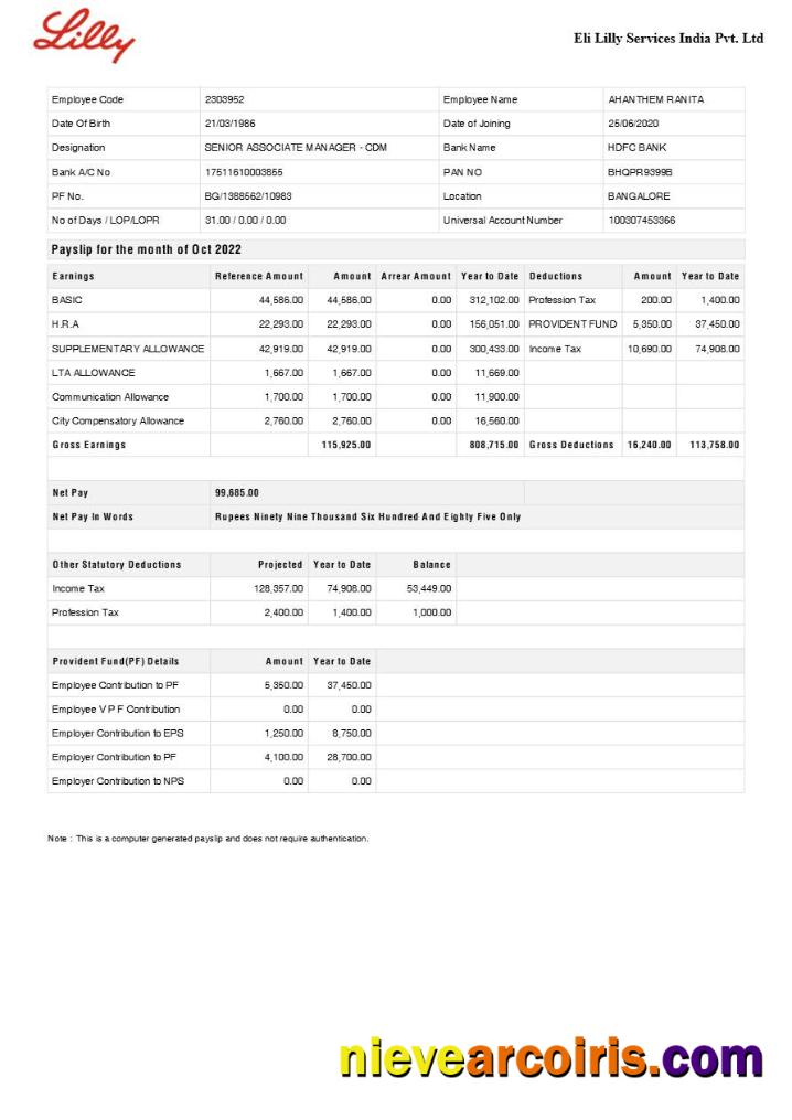 Realistic Eli Lilly Services India Pharmaceutical Company Payslip Template In Word And PDF Formats.pdf, 1