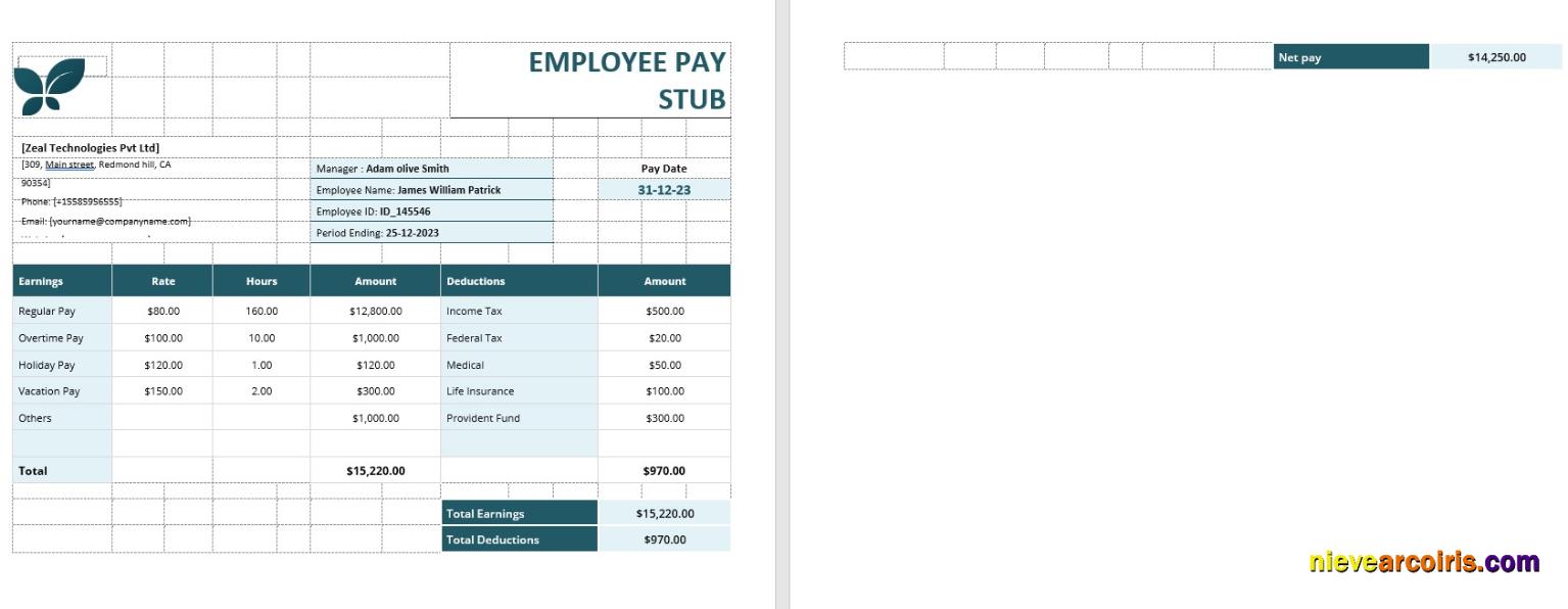 Realistic Employee Pay Stub Template