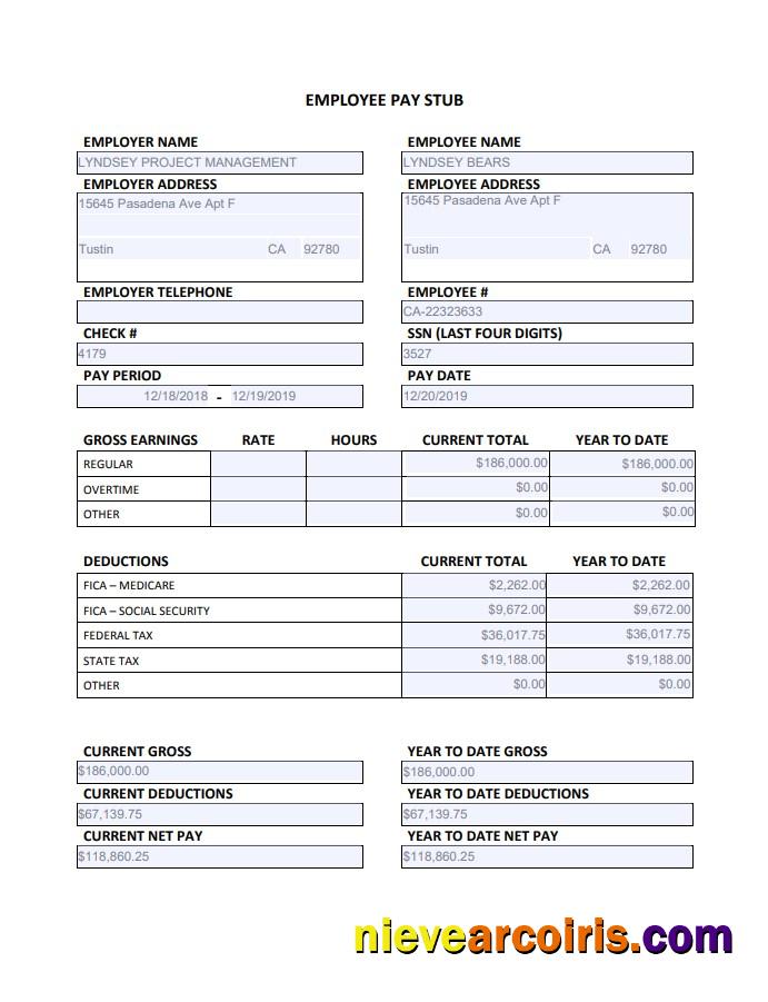Employee Paystub Edited Photolook
