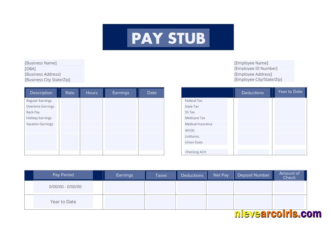 Employee Pay Stub Version 6 In PDF And Word Formats Preview