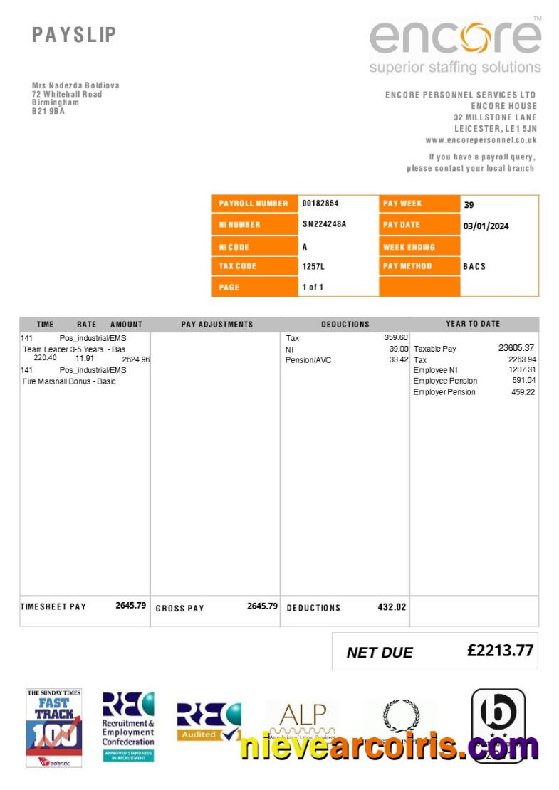 Professional Encore Personnel Services (recruitment) Payslip Template In Word And PDF Formats.pdf, 1