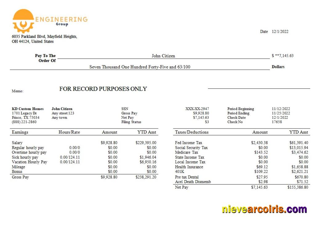 Professional Engineering Company Payslip Template In Word And PDF Formats