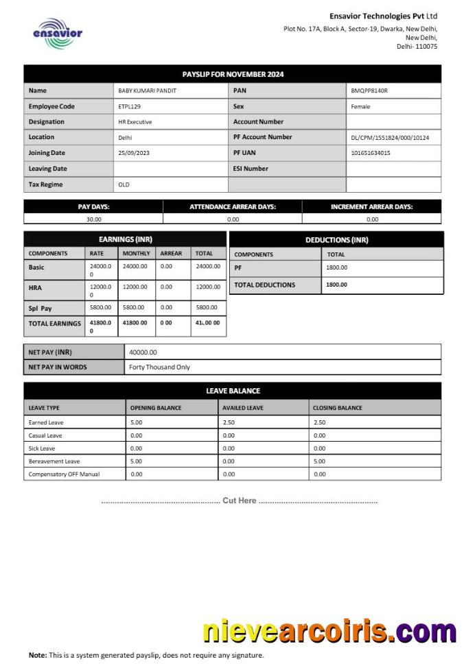 Editable Ensavior Technologies Payslip Template In Word And PDF Formats.pdf, 1