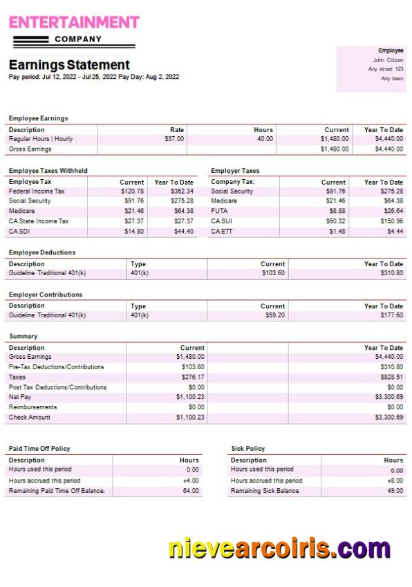 Editable Entertainment Company Paystub Template In Word And PDF Formats
