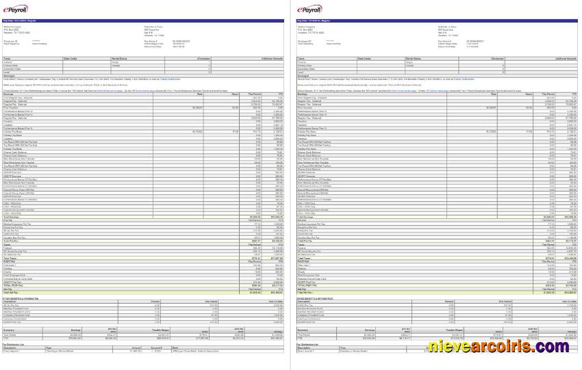 Epayroll Motiva Company Pay Stub In PDF And Word Formats Photolook