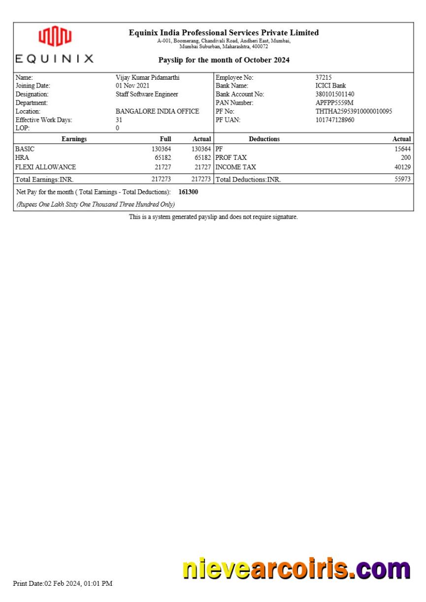 Professional Equinix India Professional Services Payslip Template In Word And PDF Formats.pdf, 1