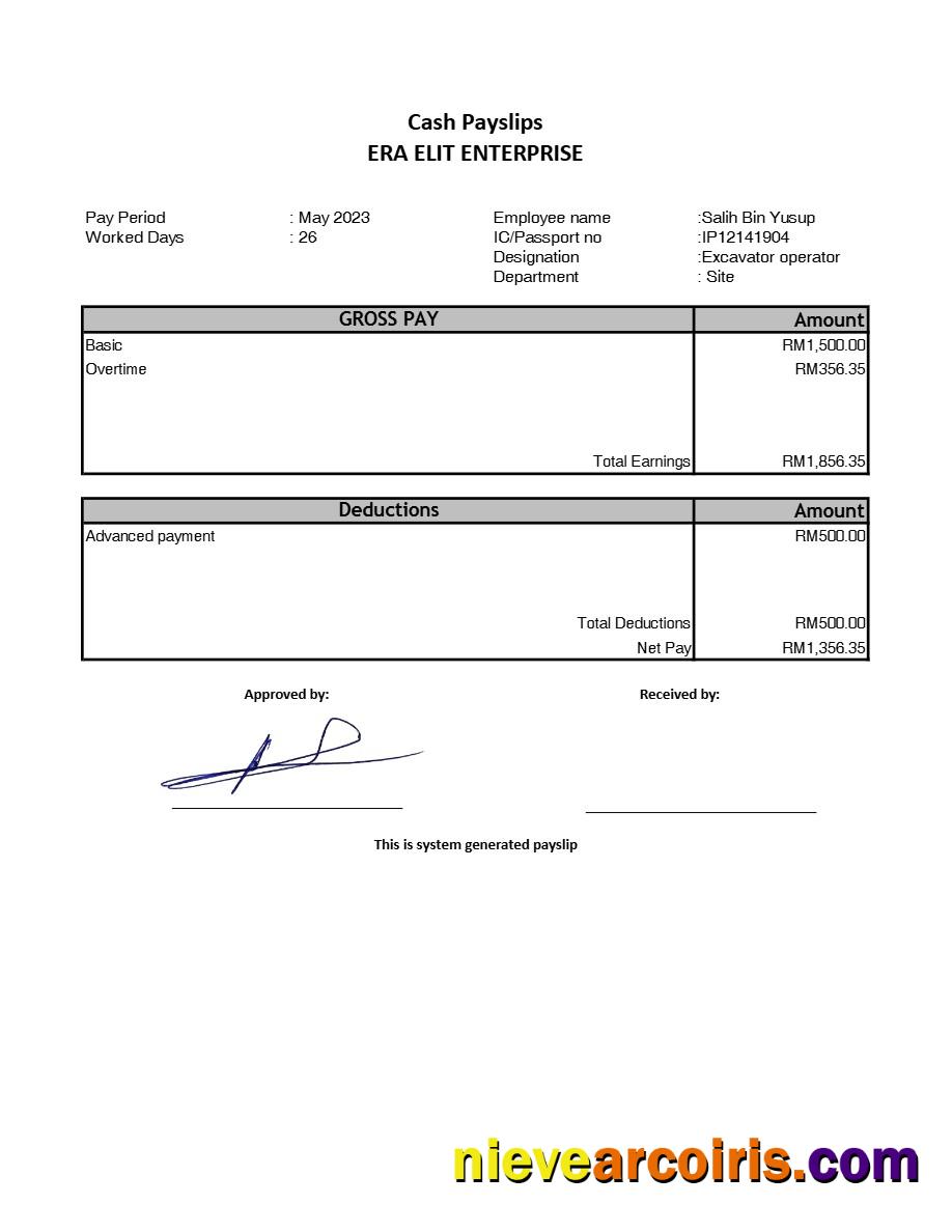 Premium Era Elit Enterprise Payslip Template In Word And PDF Formats.pdf, 1