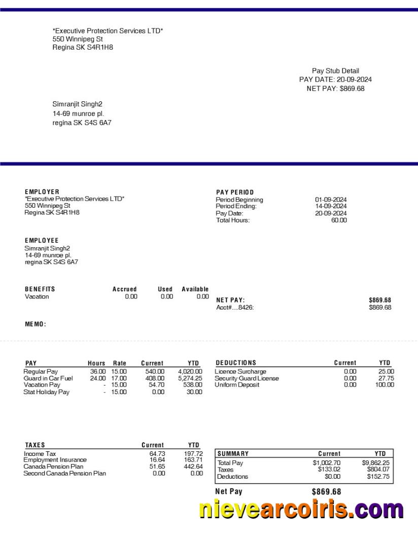 Editable Executive Protection Services LTD Pay Stub Template In Word And PDF Formats.pdf, 1