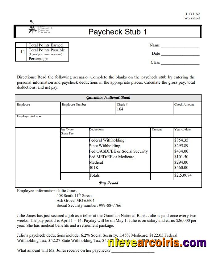 Premium Family Economics & Financial Education Paycheck Stub Word And PDF Template