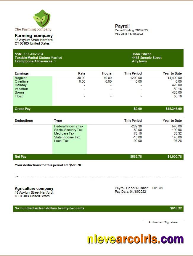 Realistic Farming Company Editable Earning Statement Template In Word And PDF Formats