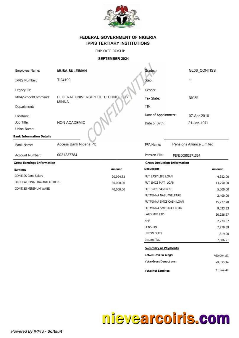 Editable Federal Government Of Nigeria Employee Payslip Template In Word And PDF Formats.pdf, 1