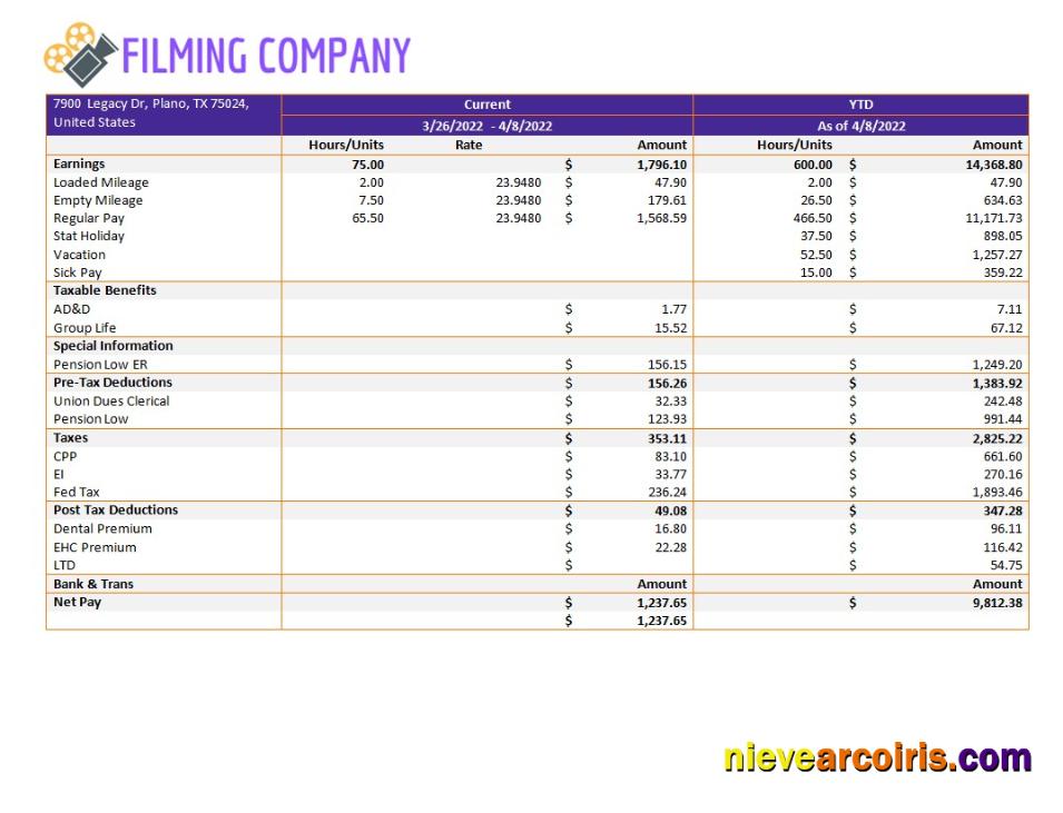 Realistic Filming Company Pay Stub Template In Word And PDF Formats