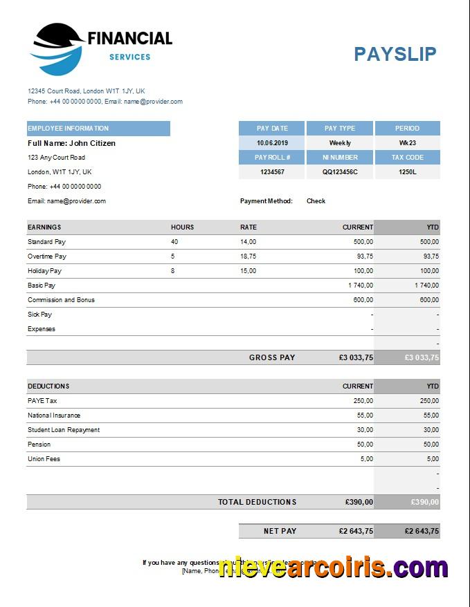 Professional Financical Services Payslip Template In Excel And PDF Formats