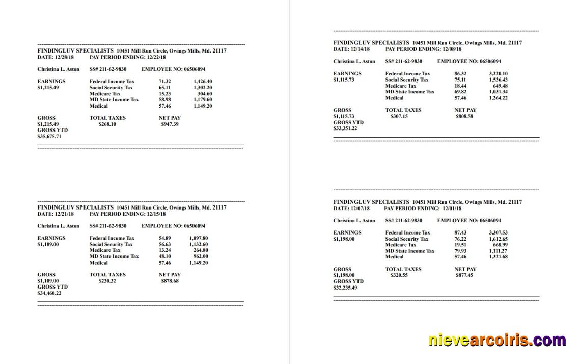 Findingluv Specialits Company Pay Stub In PDF And Word Format Photolook