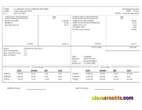 Professional Flash Malaysia Express Delivery Services Earnings Template In Word And PDF Formats.pdf, 1
