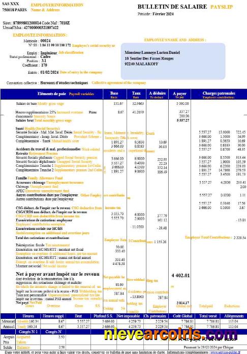 Realistic France Payslip (in French Language) Template In Word And PDF Formats.pdf, 1