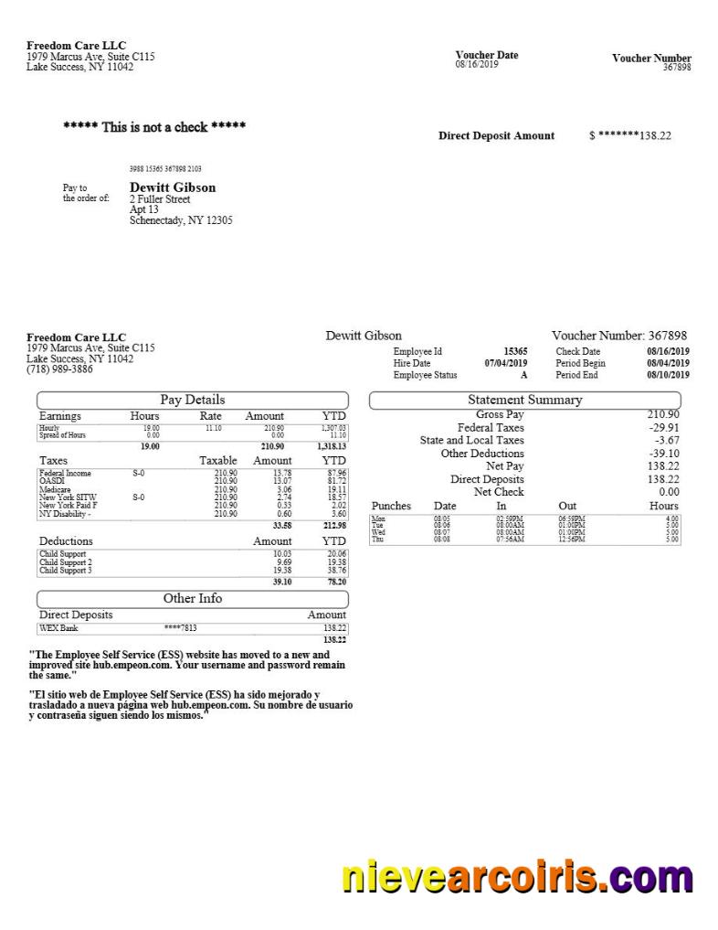 Realistic Freedom Care LLC Pay Stub Template In Word And PDF Formats.pdf, 1