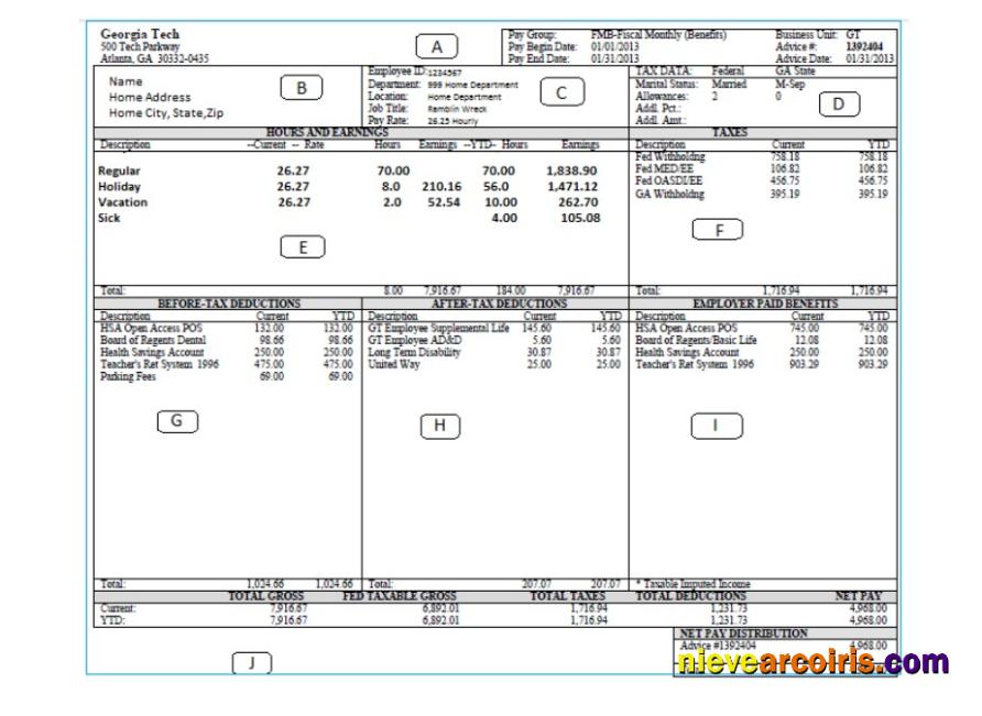 Realistic GEORGIA TECH Pay Stub Word And PDF Template