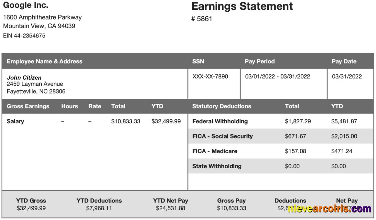 GOOGLE Inc Earning Statement In Word And PDF Formats Sample