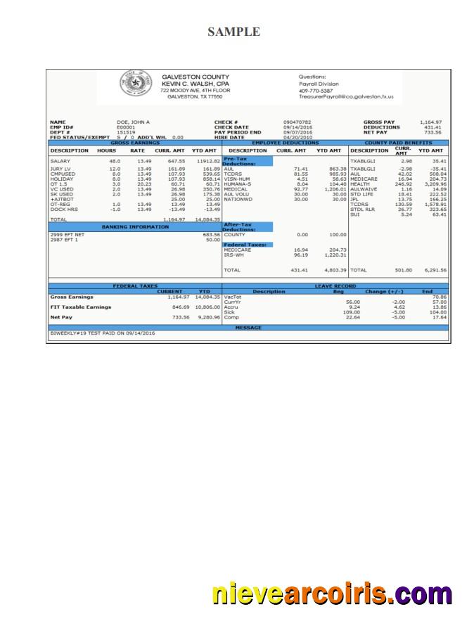 Galveston County Payroll Check Stub Preview