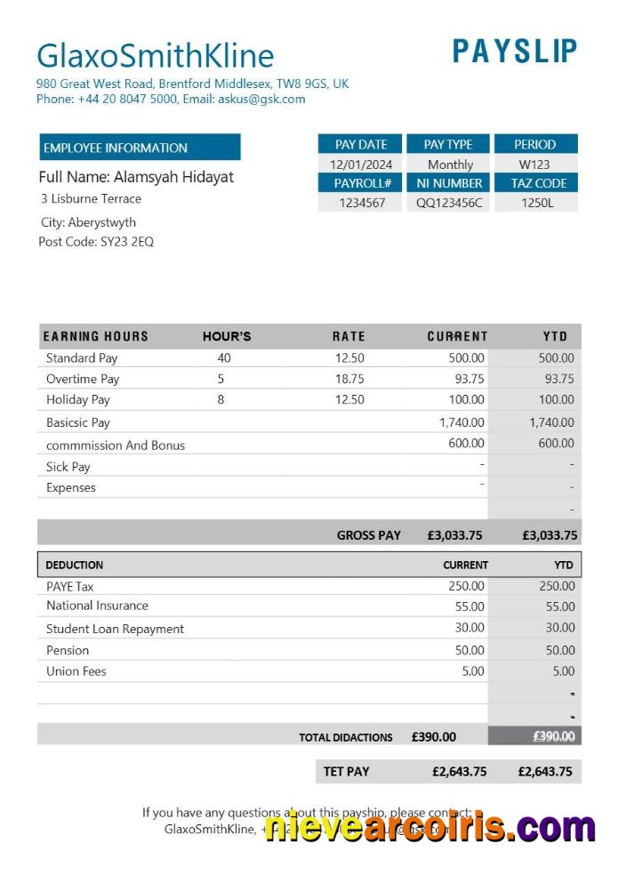Realistic GlaxoSmithKline Pharmaceutical Company Payslip Template In Word And PDF Formats.pdf, 1