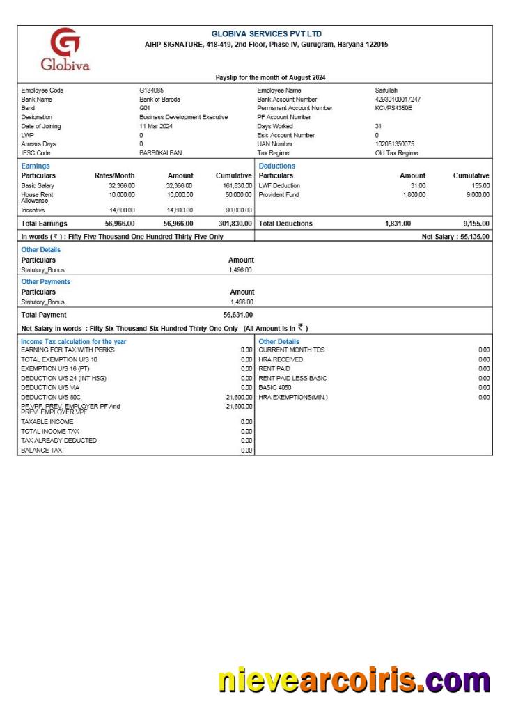 Professional Globiva Services Payslip Template In Word And PDF Formats.pdf, 1