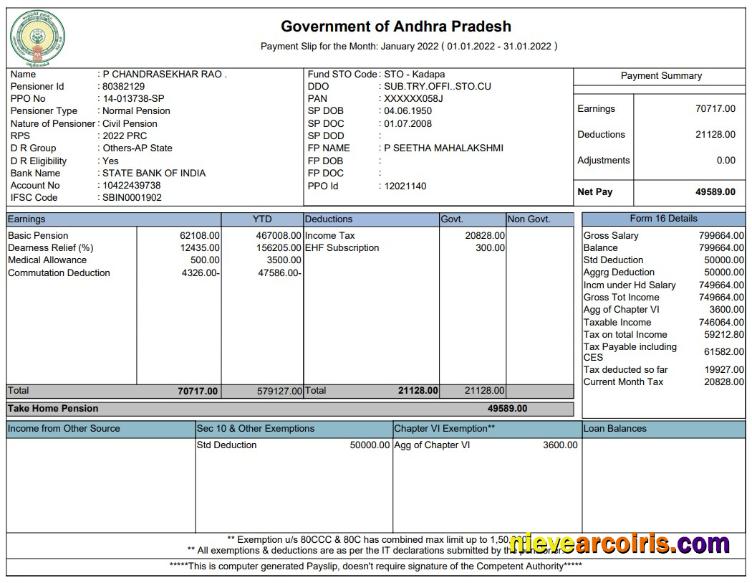 Government Of Andhra Pradesh Paystub Preview